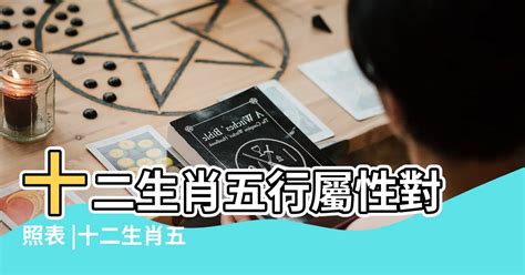 豬五行|十二生肖五行屬性對照表